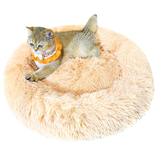 PiPiCat Flauschiges Haustierbett, 60cm, Hundebett, Katzenbett, Hundekissen, Hundekorb, Donut-förmig, warm, waschbar, rutschfest, für klein-/mitteles Haustier (60cm, Aprikose) von PiPiCat