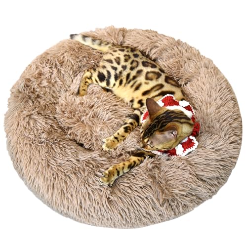 PiPiCat Flauschiges Haustierbett, 60cm, Hundebett, Katzenbett, Hundekissen, Hundekorb, Donut-förmig, warm, waschbar, rutschfest, für klein-/mitteles Haustier (60cm, khaki) von PiPiCat