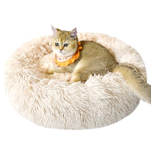 PiPiCat Flauschiges Haustierbett, 60cm, Hundebett, Katzenbett, Hundekissen, Hundekorb, Donut-förmig, warm, waschbar, rutschfest, für klein-/mittles Haustier (60cm, Beige) von PiPiCat