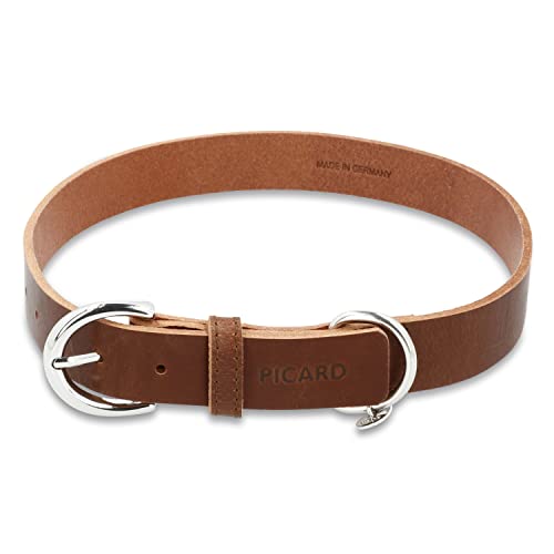 Picard Damen Hundehalsband Strolch Größe L aus Groß | Breite 1,5 cm höhe 0,3cm länge 69 cm mit Schnallenverschluss | Alltag, Ausgehen… von Picard