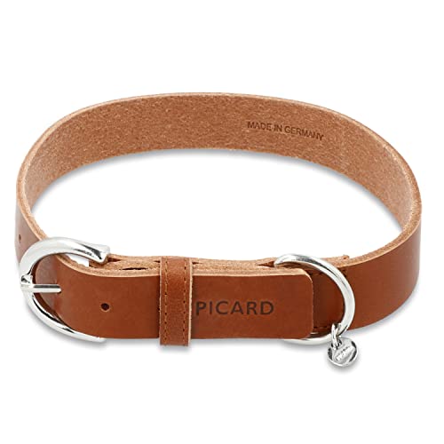 Picard Damen Hundehalsband Strolch Größe M aus Mittel | Breite 1,5 cm höhe 0,3 cm länge 60 cm mit Schnallenverschluss | Alltag, Ausgehen… von Picard