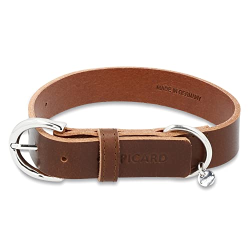 Picard Damen Hundehalsband Strolch Größe S aus Klein | Breite 1,5 cm höhe 0,3 cm länge 48 cm mit Schnallenverschluss | Alltag, Ausgehen… von Picard