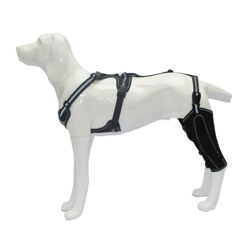 Ellenbogenbandage für verletzte Gliedmaßen für Hunde, fördert den Komfort, Beinwickel für Haustiere, Gelenkschutz, Hundeärmel Ellenbogenbandage für verletzte Gliedmaßen für Hunde, fördert den Komfort, Beinwickel für Haustiere, Gelenkschutz, Hundeärmel von Piceioep