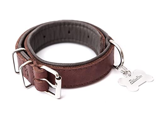 Hundehalsband Leder, Halsband, Leder, Lederhalsband Hund, Metallschnalle, 55 x 2.5 cm, Braun von PillowPrim