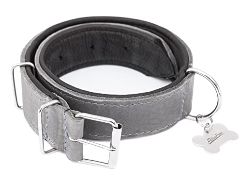 Hundehalsband Leder, Halsband, Leder, Lederhalsband Hund, Metallschnalle, 65 x 4 cm, Asche von PillowPrim