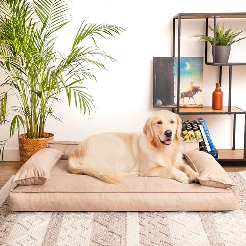 PillowPrim Hundebett, Haustiermatratze, Katzenbett, Hundekissen, Hundekorb, Hundesofa, Liegeplatz für Hund, Orthopädische, Möbel, 78x54 cm, Beige von PillowPrim