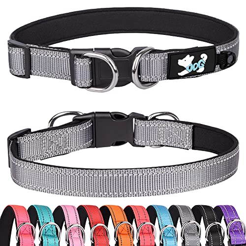 Pimaodog Gepolstertes Hundehalsband Reflektierende Hundehalsbänder für kleine, mittelgroße und große Hunde Bequemes weiches Neopren Verstellbar Basic Hundehalsbänder (M, Grau) von Pimaodog