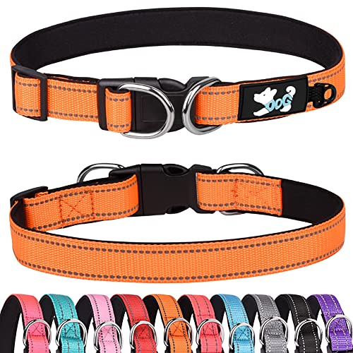 Pimaodog Gepolstertes Hundehalsband Reflektierende Hundehalsbänder für kleine, mittelgroße und große Hunde Bequemes weiches Neopren Verstellbare Basic Hundehalsbänder (M, Orange) von Pimaodog