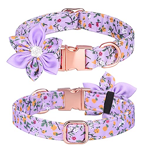 Pimaodog Hundehalsband, Hunde Halsbänder, Mädchen Welpenhalsband Blumenmuster Niedliches mit Abnehmbarer Strassblume, für Hündinnen Kleine Mittel Groß (L: 38-60 cm, Lila) von Pimaodog