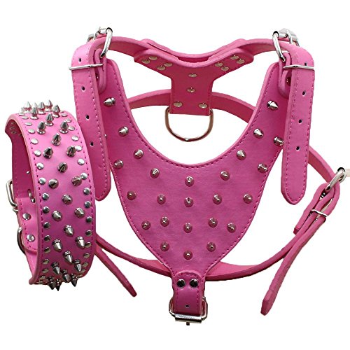 Pimaodog Hundehalsband, PU-Leder, mit Nieten, passendes Set für mittelgroße und große Hunde, Pit Buller, Mastiff, Boxer, Bullterrier, 2-teiliges Set, Hot Pink, Größe L von Pimaodog