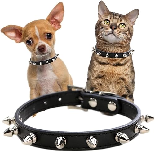 Pimaodog Hundehalsband aus Leder mit Nieten, Pilze, Nieten, Katzenhalsband für kleine, mittelgroße Hunde, Katzen, Welpen, Kätzchen (M, Schwarz) von Pimaodog