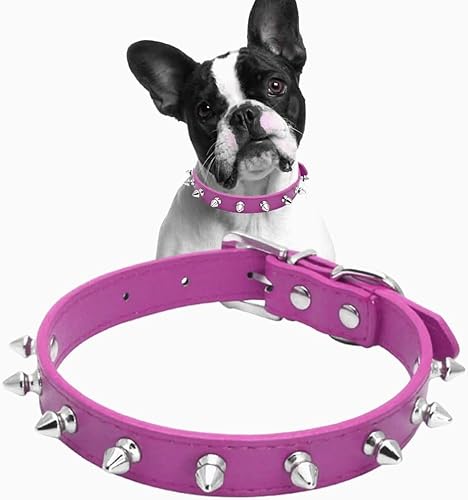 Pimaodog Hundehalsband aus Leder mit Nieten, Pilze, Nieten, Katzenhalsband für kleine, mittelgroße Hunde, Katzen, Welpen, Kätzchen (S, Hot Pink) von Pimaodog