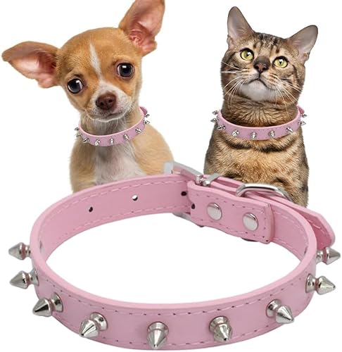 Pimaodog Hundehalsband aus Leder mit Nieten, Pilze, Nieten, Katzenhalsband für kleine, mittelgroße Hunde, Katzen, Welpen, Kätzchen (S, Rosa) von Pimaodog