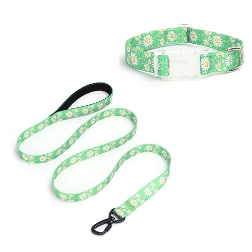 Pimaodog Hundehalsband für Mädchen, mit Gänseblümchen-Muster, niedliches Hundehalsband und Leine, Set für Hündinnen, verstellbar, weich, langlebig, Haustierhalsbänder für Katzen, Welpen, XS, kleine, von Pimaodog