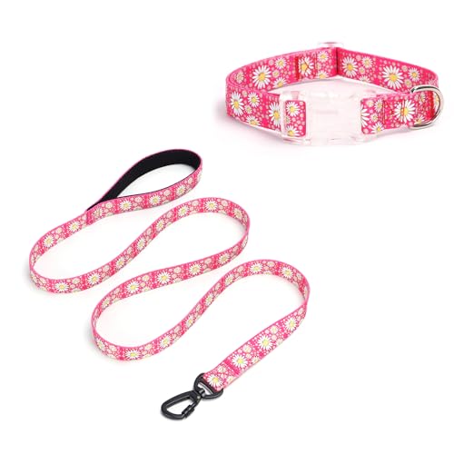 Pimaodog Hundehalsband für Mädchen, mit Gänseblümchen-Muster, niedliches Hundehalsband und Leine, Set für Hündinnen, verstellbar, weich, langlebig, Haustierhalsbänder für Katzen, Welpen, XS, kleine, von Pimaodog