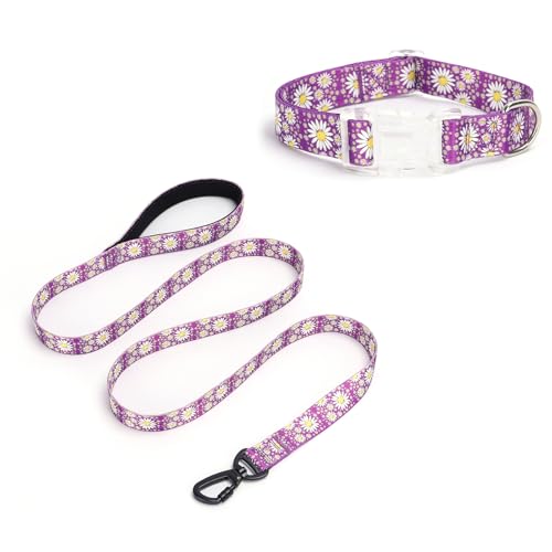 Pimaodog Hundehalsband für Mädchen, mit Gänseblümchen-Muster, niedliches Hundehalsband und Leine, Set für Hündinnen, verstellbar, weich, langlebig, Haustierhalsbänder für Katzen, Welpen, XS, kleine, von Pimaodog