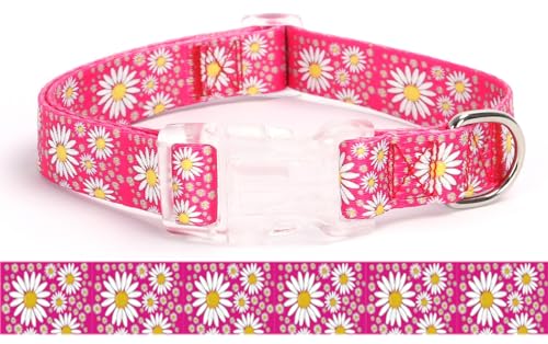 Pimaodog Hundehalsband für Mädchen, mit Gänseblümchen-Muster, niedliches rosa Hundehalsband für Hündinnen, verstellbar, weich, langlebig, Haustierhalsband für Katzen, Welpen, XS, kleine, mittelgroße von Pimaodog