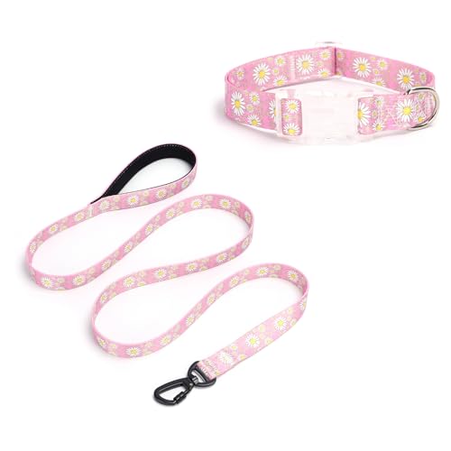 Pimaodog Hundehalsband für Mädchen, mit Gänseblümchenmuster, niedliches Hundehalsband und Leine, Set für Hündinnen, verstellbar, weich, langlebig, Haustierhalsbänder für Katzen, Welpen, XS, kleine, von Pimaodog