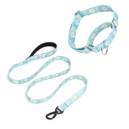 Pimaodog Martingale Halsband für Hunde, 1,52 m lange Hundeleine, gepolstert, Hundehalsband und Leine, Set mit Gänseblümchen-Blumendesign, verstellbar, für mittelgroße und große Hunde (Hellblau, L) von Pimaodog