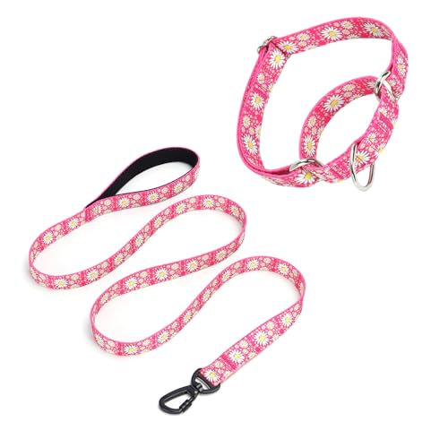 Pimaodog Martingale Halsband für Hunde, 1,52 m lange Hundeleine, gepolstert, Hundehalsband und Leine, Set mit Gänseblümchen-Blumendesign, verstellbar, für mittelgroße und große Hunde (Hot Pink, M) von Pimaodog