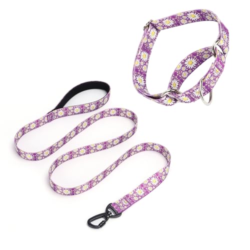 Pimaodog Martingale Halsband für Hunde, 1,52 m lange Hundeleine, gepolstert, Hundehalsband und Leine, Set mit Gänseblümchen-Blumendesign, verstellbar, für mittelgroße und große Hunde (Violett, Größe von Pimaodog