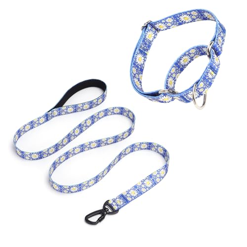 Pimaodog Martingale Halsband für Hunde, 1,52 m lange Hundeleine, gepolstert, Hundehalsband und Leine, Set mit Gänseblümchen-Design, verstellbar, für mittelgroße und große Hunde (Dunkelblau, Größe M) von Pimaodog