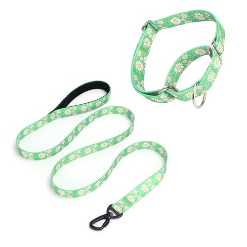 Pimaodog Martingale Halsband für Hunde, 1,52 m lange Hundeleine, gepolstert, Hundehalsband und Leine, Set mit Gänseblümchen-Design, verstellbar, für mittelgroße und große Hunde (Grün, L) von Pimaodog