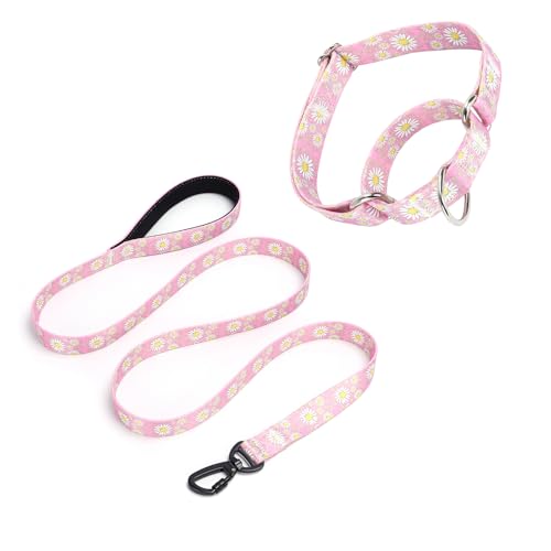 Pimaodog Martingale Halsband für Hunde, 1,52 m lange Hundeleine, gepolstert, Hundehalsband und Leine, Set mit Gänseblümchen-Design, verstellbar, für mittelgroße und große Hunde (Rosa, Größe M) von Pimaodog