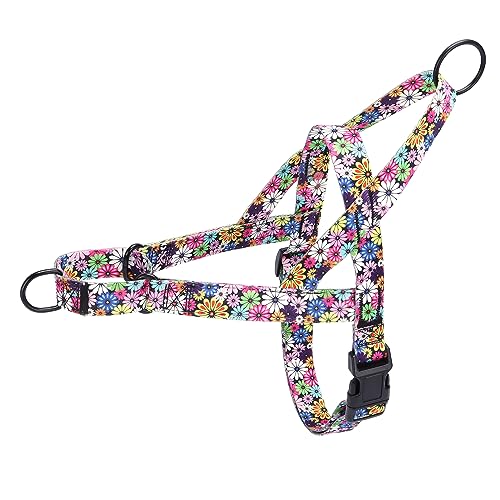 Pimaodog No Pull Hundegeschirr für einfachen Spaziergang, Blumenmuster weibliche Sicherheit Nylon Trainingshalsband für kleine, mittelgroße und große Hunde (L, Feuerwerk) von Pimaodog