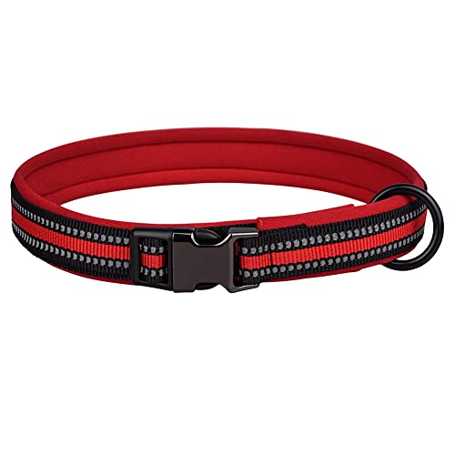 Pimaodog Reflektierendes Nylon-Hundehalsband mit Sicherheitsschnalle, verstellbare Haustierhalsbänder, bequeme, mittelgroße und große Hunde (M (Halsumfang 42-55 cm), rot) von Pimaodog