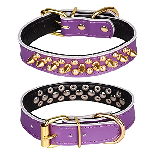 Pimaodog Spiked Nieten-Hundehalsband, Echtleder-Hundehalsband, verstellbare Haustierhalsbänder für kleine oder mittelgroße Haustiere (M, Lila) von Pimaodog