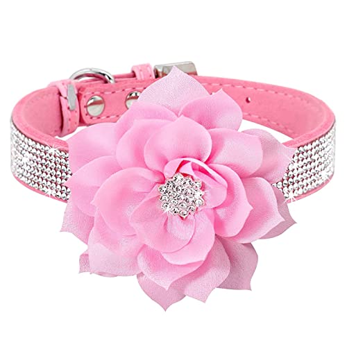 Pimaodog Strass-Hundehalsband, niedlich, schillernd, funkelnd, weiches Wildleder, verstellbares Haustier-Hunde- und Katzenhalsband, mittelgroße und große Hunde (S: 26–32 cm, Pink-6) von Pimaodog