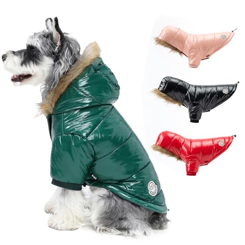 PINA Hund Wintermantel, Hund Winterjacke mit Großer Pelzkragen, Winddichte und Warme Hunde Winterweste, Geeignet für Kleine bis Große Hunde, Grün, S von Pina