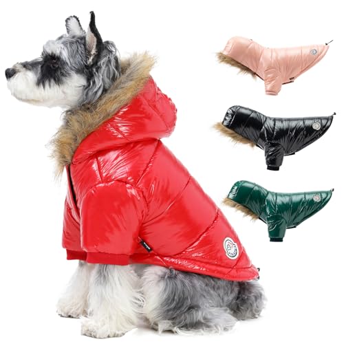 PINA Hund Wintermantel, Hund Winterjacke mit Großer Pelzkragen, Winddichte und Warme Hunde Winterweste, Geeignet für Kleine bis Große Hunde, Rot, S von Pina