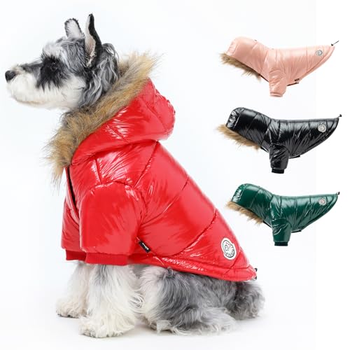 PINA Hundewintermantel, Hunde-Winterjacke mit großem Pelzkragen, Winddichte und Warme Hundewinterweste, geeignet für kleine bis große Hunde, Rot, L von Pina