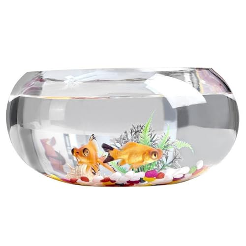 Fischschüssel 11,8x5,5 '' klarer runde Glasfischschale mit farbigem Stein ＆ Fischfutter Goldfischschale Nicht-rutsches kleiner Fischtank für Fischschildkröten Pflanzen Home Office Dekor, Fischschüsse von Pineeseatile