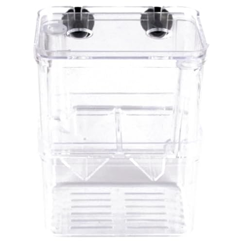 Fischzüchterbox 2 Fach -Isolationsbox mit Saugnäpfe und Fütterungsanschluss für Aquarium, transparentes Plastik für Babyfische und Garnelen von Pineeseatile