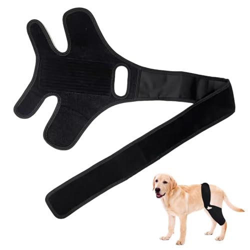 Hundebein Zahnspangen für Hinterbein Hundeknieklammer mit Seitenstabilisatoren Neoprene Schwarz Befestigungsband Hundeland Weiche Rand Hundebeine für vordere Hinterbeine, m von Pineeseatile