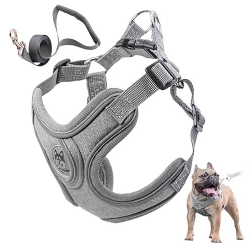 Hundekabelbaum mit Leinen-Set, Keine Pull-Hundeweste mit Leinen Polyester Verstellbarer Hundehalsbänder Gurte gepolstertes Welpengurt für kleine mittelgroße Hund, Brustumfang 50-62 cm/7,5-14 kg von Pineeseatile