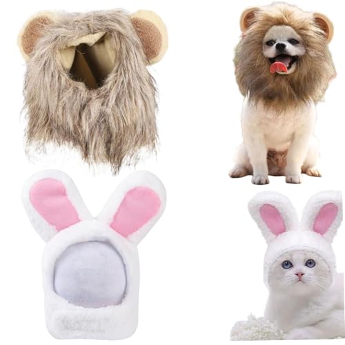 Pineeseatile Kätzchen Kostüm 2PCS Bunny Ohrs & Mane Outfits, Flauschige Katzenkostüme für Partys, Geburtstage und Foto -Requisiten von Pineeseatile