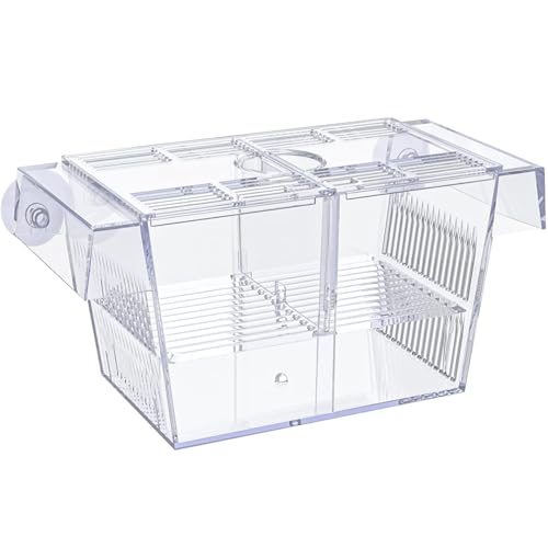 Züchterbox für Fischtank Multi -Kompartiment Fischisolation Box für Aquarium mit Saugnapfbecher und Fütterungsanschluss transparenter ABS -Fisch -Brutschachtel für Babyfische, Garnelen L. von Pineeseatile