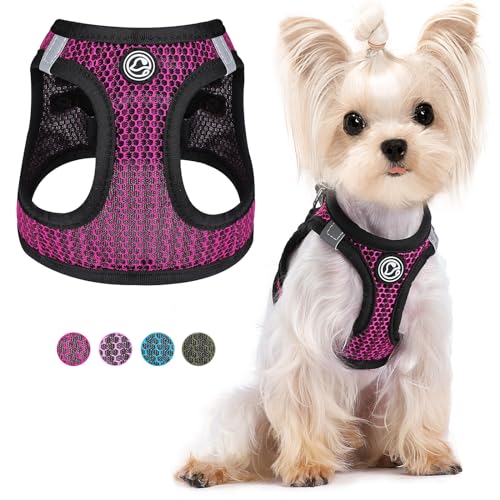 Hundegeschirr für Kleine Hunde No Pull Hundegeschirr Weiches Air-Mesh Welpengeschirr Step in Kleine Hundegeschirr Katzengeschirr Allwetter Outdoor Hundeweste Geschirr für Haustier Katzen Hunde (Rose, von PinkTie