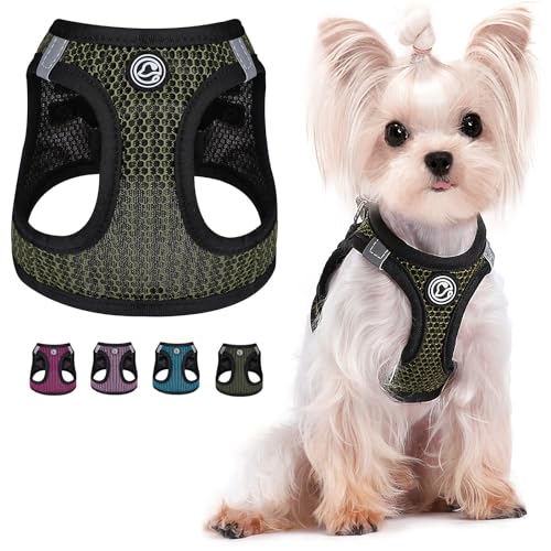 Hundegeschirr für Kleine Hunde No Pull Hundegeschirr Weiches Air-Mesh Welpengeschirr Step in Kleine Hundegeschirr Katzengeschirr Allwetter Outdoor Hundeweste Geschirr für Haustier Katzen Hunde von PinkTie