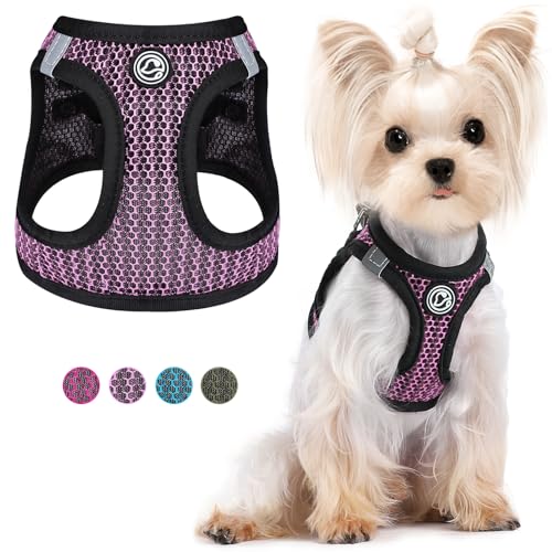 XS Hundegeschirr für kleine Hunde No Pull Hundegeschirr Soft Air Mesh Welpengeschirr Step in Kleine Hundegeschirr Katzengeschirr Allwetter Outdoor Hundeweste Geschirr für Haustier Katzen Hunde (Rosa, von PinkTie