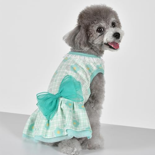 Pinkaholic New York Sophie Hundekleid für Frühjahr/Sommer, trendig, modisch, niedlich, Minzgrün, Größe L von PINKAHOLIC