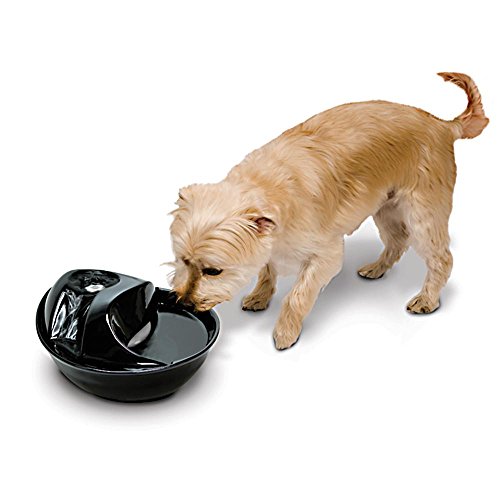 Pioneer Pet Trinkbrunnen 74196 Rain Drop Style aus Keramik, Schwarz für Hund, 6E+1 ounces Kapazität von Pioneer Pet