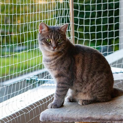 Katze Balkon Netz Katzennetz Balkonschiene Netz Katze PET Balkon Anti Fall Netz Katzenzaun Netze Transparent Nylon Haustier Mesh Zaun Anti Fall Netz für Balkon Fenster Treppen (3,0 x 4,0 m, Weiß) von Piowet