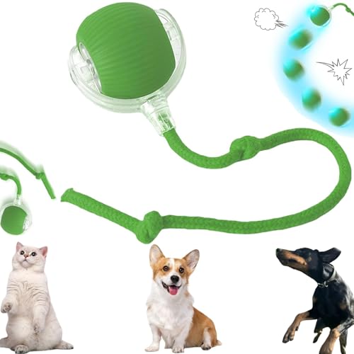 Pipihome Interaktives Katzenspielzeug Elektrisch, Chewie Viral Rollball mit Schwanz für Katzen, Intelligentes Katzenspielzeug 360° Automatisch Power Spielball für Katzen Hunde von Pipihome