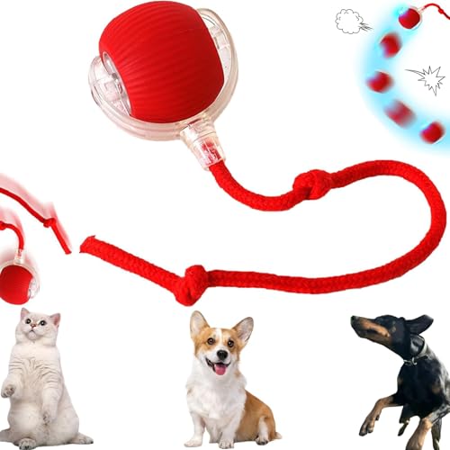 Pipihome Interaktives Katzenspielzeug Elektrisch, Chewy Viral Rolling Ball für Katzen Hunde, 360° Automatisch Rollender Intelligenz Ball Katzenball Hundespielzeug, Selbstbeschäftigung, 3 Arbeitsmodi von Pipihome