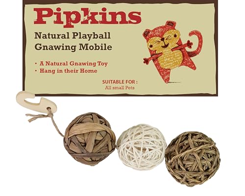 Pipkins Natürlicher Spielball - Hänge-Mobile für Meerschweinchen, Kaninchen und Hamsterheim - Kaninchenspielzeug, Meerschweinchen-Spielzeug, Hamsterspielzeug und Käfigzubehör von Pipkins